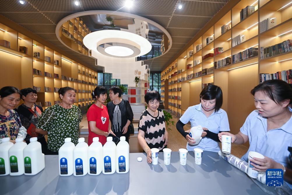 数20技巧必赢